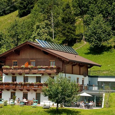 Appartements Hartlbauer Дорфгаштайн Экстерьер фото