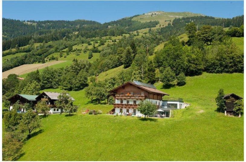 Appartements Hartlbauer Дорфгаштайн Экстерьер фото